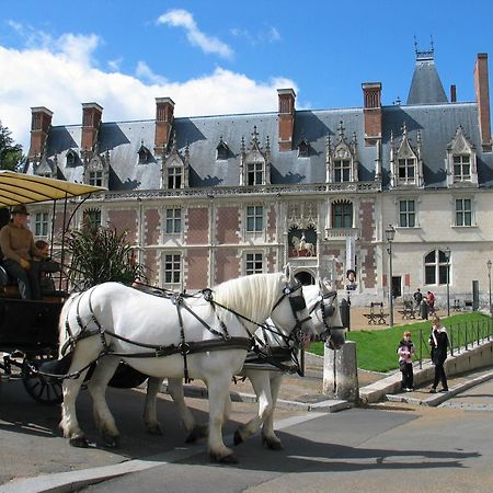 Blois City - Le Petit Saint Jean Διαμέρισμα Εξωτερικό φωτογραφία