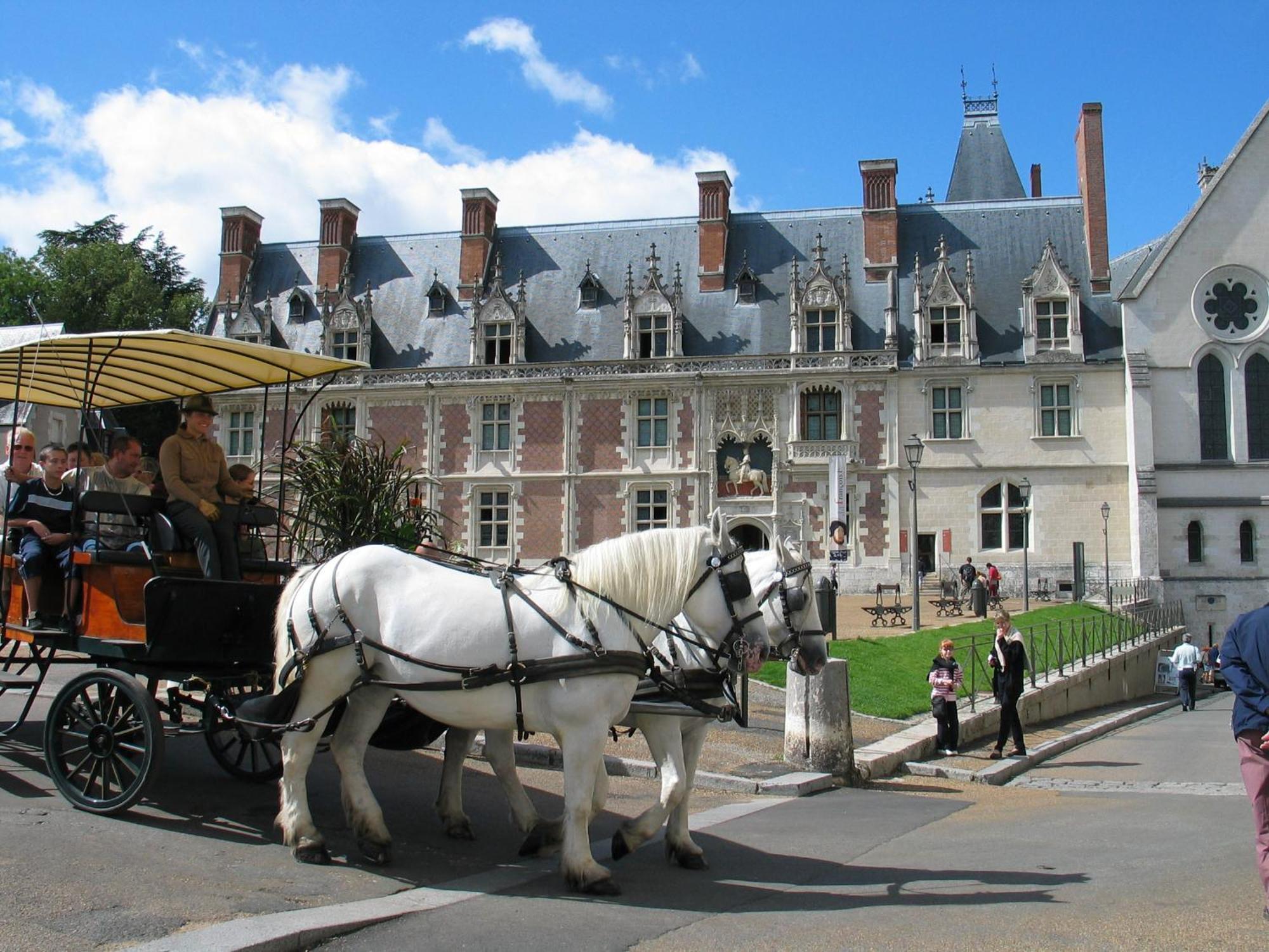 Blois City - Le Petit Saint Jean Διαμέρισμα Εξωτερικό φωτογραφία